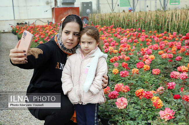 دهکده رزهای هلندی در صوفیان 