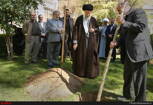 کاشت نهال توسط مقام معظم رهبری در هفته منابع طبیعی