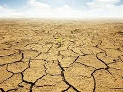 در شرایط نرمال هم کمبود آب داریم/ به آب غیرمتعارف روی بیاوریم
