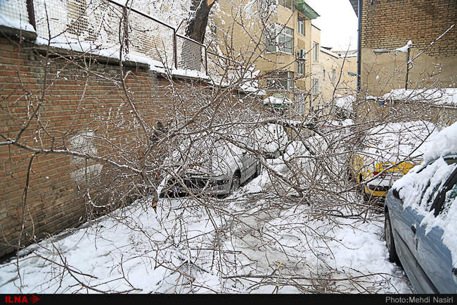 سوءمدیریتی که لبخند شادی را بر لبان تهرانی‌ها خشکاند