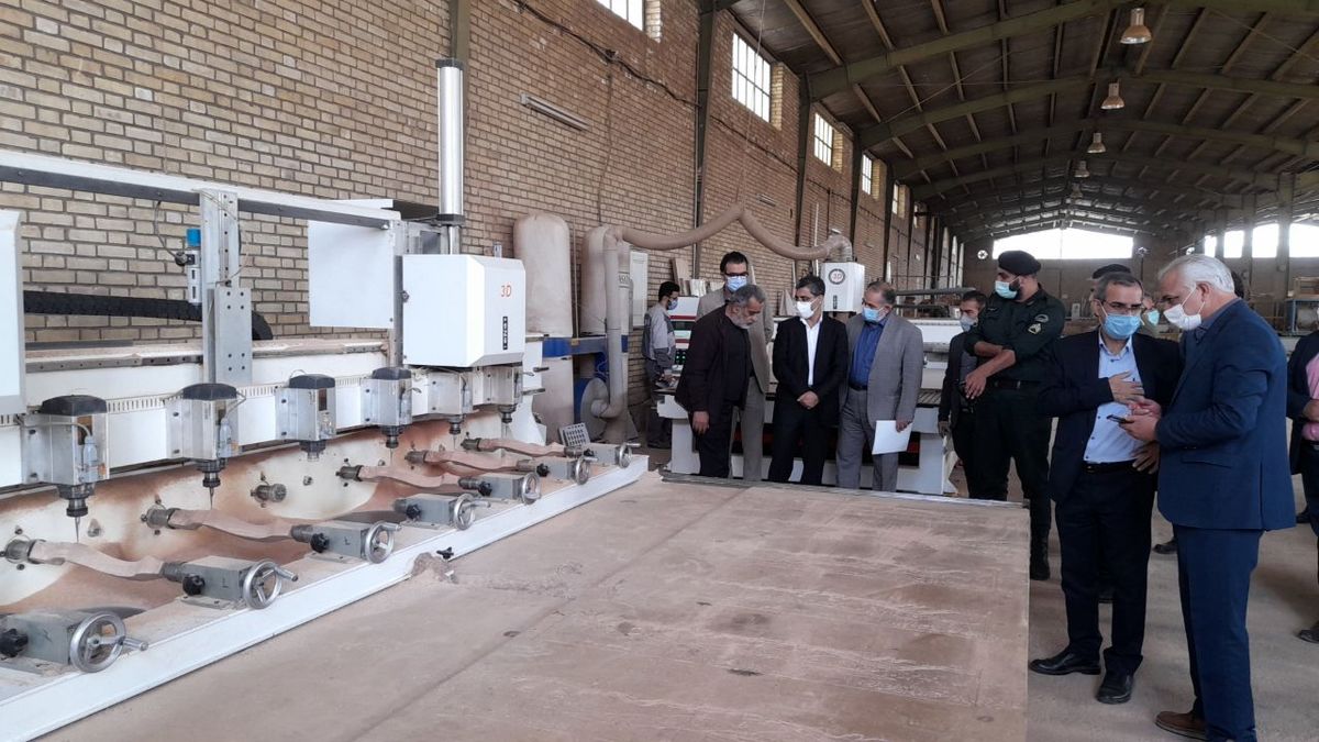 بازدید معاون وزیر صنعت، معدن و تجارت از " صنایع چوب حیدرهایی "