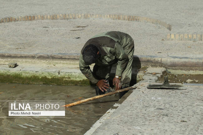 ساز ناکوک بهار سهمِ کارگران 