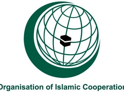 OIC condemns new Israeli atrocities in Gaza Strip