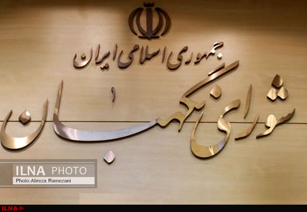 تلاش می‌کنم در راستای قانون اقدام کنم/ شورای نگهبان از هیچ قدرتی تاثیر نگیرد