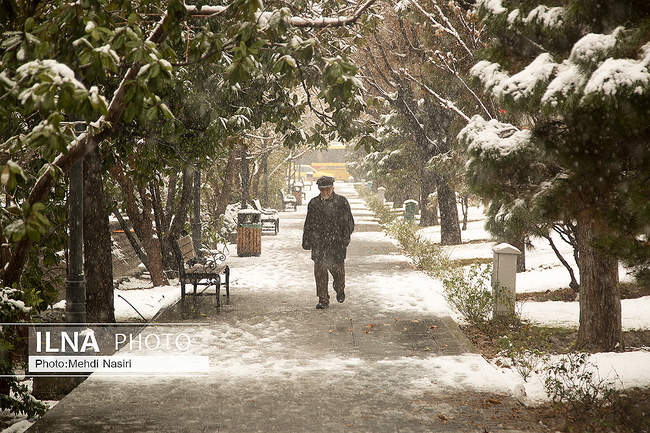 بارش برف زمستانی در تهران /2