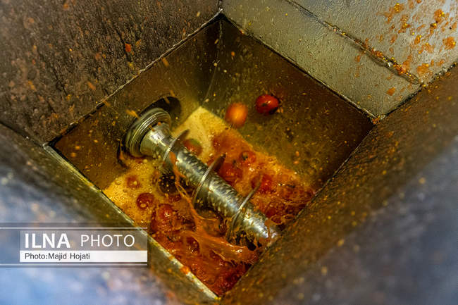 از مزرعه تا صنایع تبدیلی