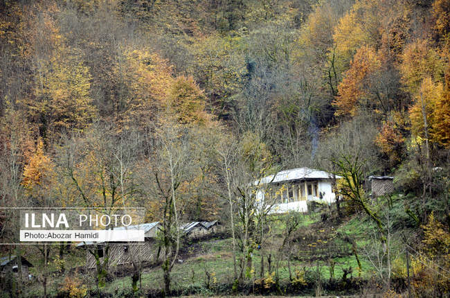 طبیعت پاییزی گیلان