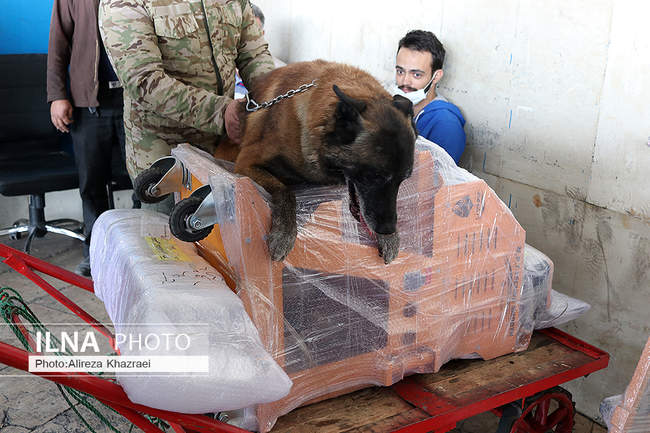 طرح مبارزه با قاچاق مواد مخدر در پایانه غرب تهران