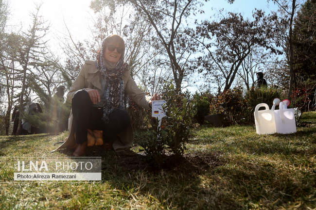 مراسم کاشت نهال دوستی