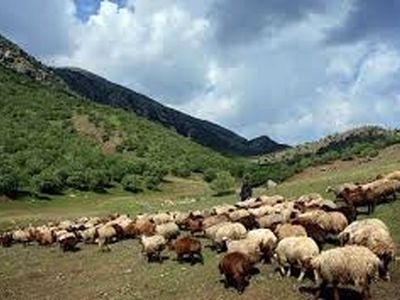 انجمن صنفی مرتع‌داران نقطه عطفی در مدیریت و حفظ مراتع به شمار می‌آید