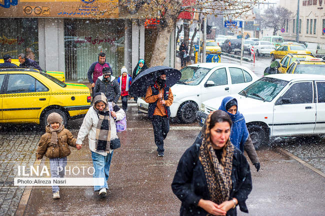 قزوین در آغوش برف به روایت تصویر