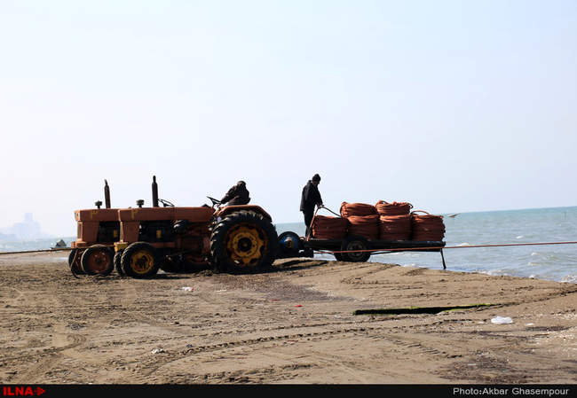 صید ماهی سفید در دریای خزر