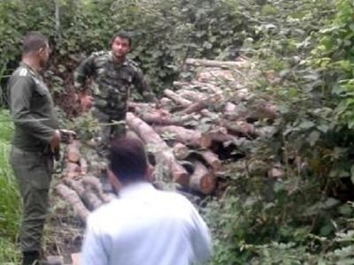 مشکل دستمزد کارگران قرق‌بان جنگل‌های مازندران حل نشد/ نگرانی از آینده