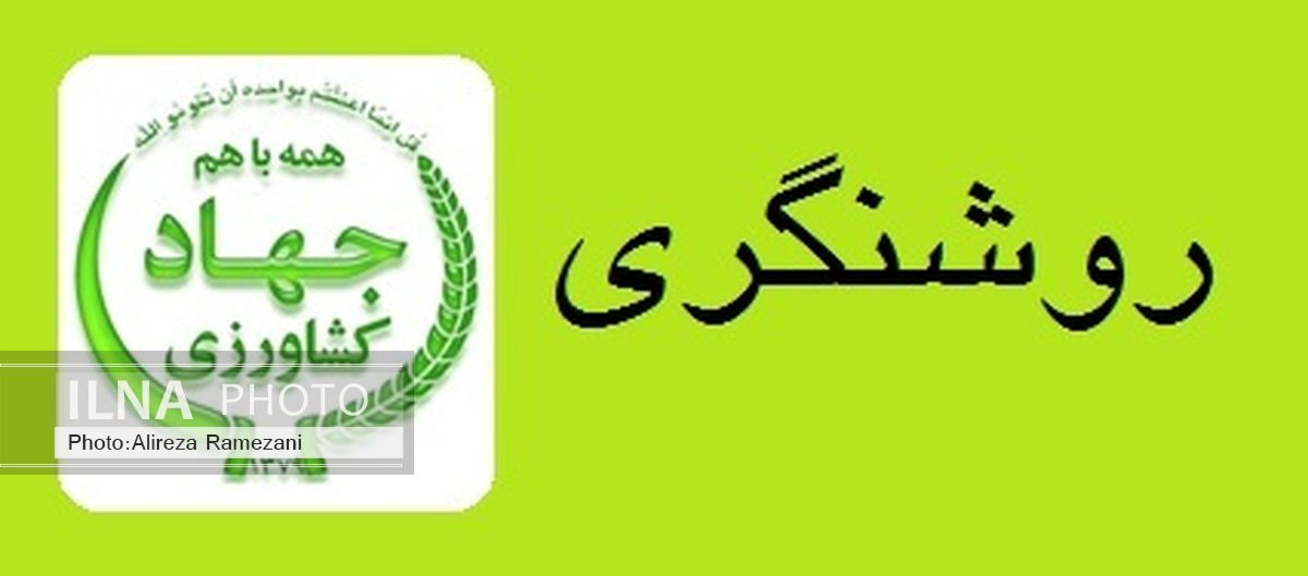 سیاست وزارت جهاد کشاورزی؛ پایداری تولید،حمایت از مصرف و تامین امنیت غذایی 