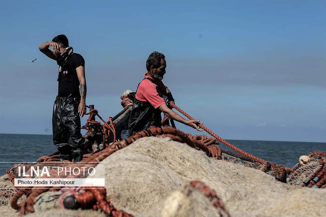 صید پاییزه ماهی در دریای خزر