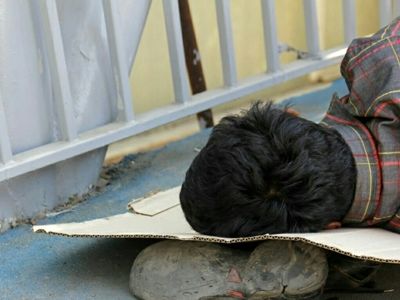 جمع آوری معتادان کارتن خواب و متجاهر در ساوجبلاغ