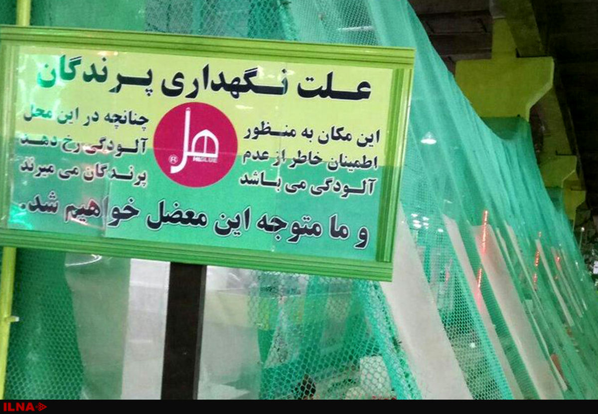 استفاده از پرندگان به عنوان ابزار سنجش آلودگی هوا در برخی کارگاه‌ها