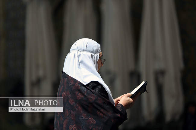 زائران حضرت امیرالمومنین علیه السلام 