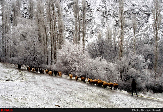 بارش برف در رودبار گیلان