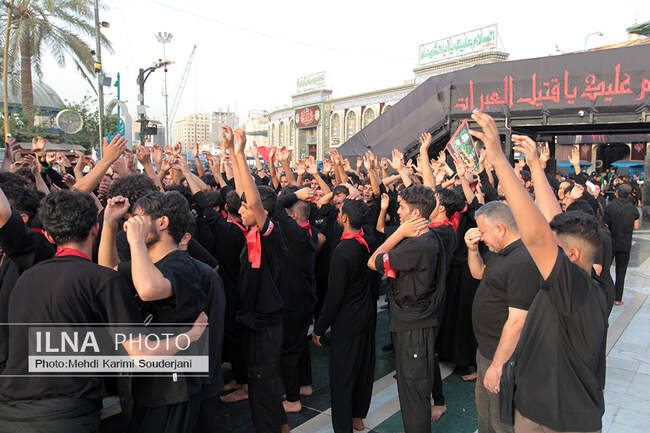 IMG_1292 copy
