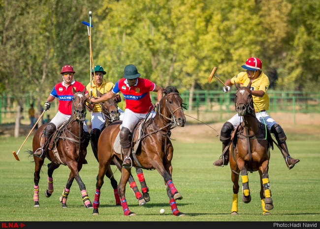 رقابتهای سه گانه چوگان هفته دولت ۱۳۹۵ - کانون چوگان/نوروزآباد