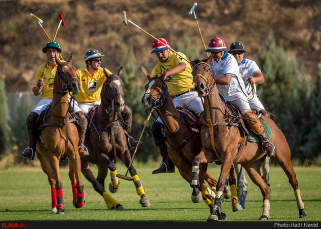 رقابتهای سه گانه چوگان هفته دولت ۱۳۹۵-کانون چوگان/قصرفیروزه