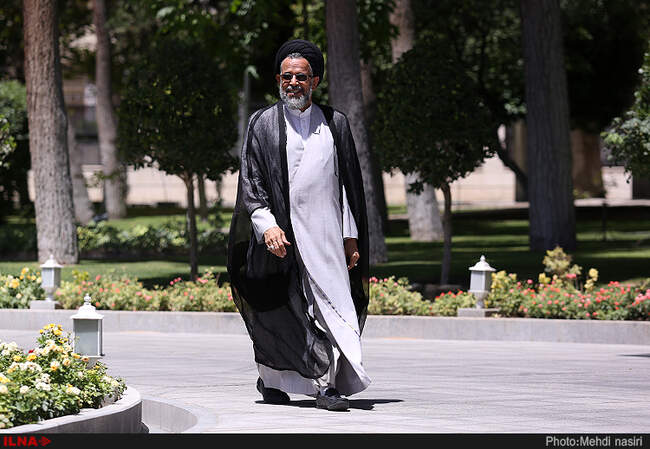 سید محمود علوی