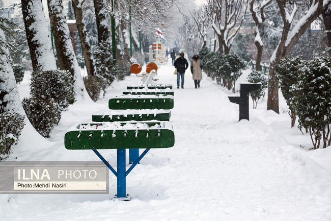 پارک ملت در یک روز برفی