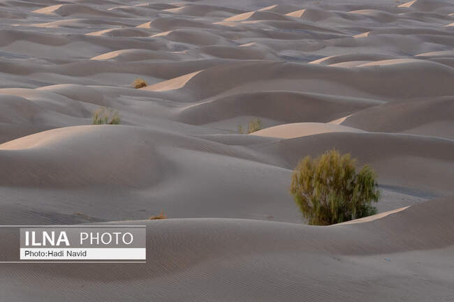 کویر مصر
