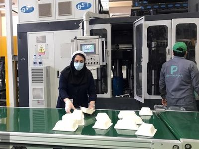 کارگران «پارس طبیعت سلولز» به تعطیلات رفتند 