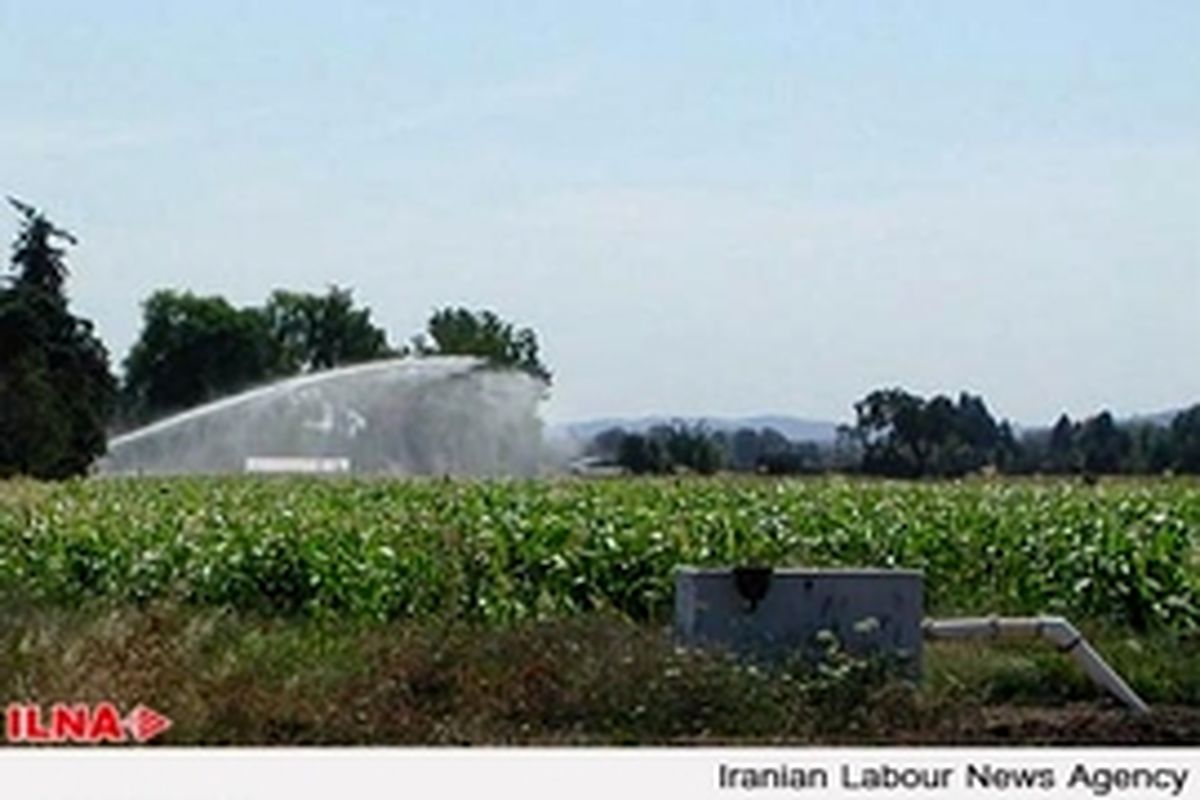 کاهش سهم آب بخش کشاورزی بدون اجرای زیرساخت‌ها به نفع کشاورز نیست