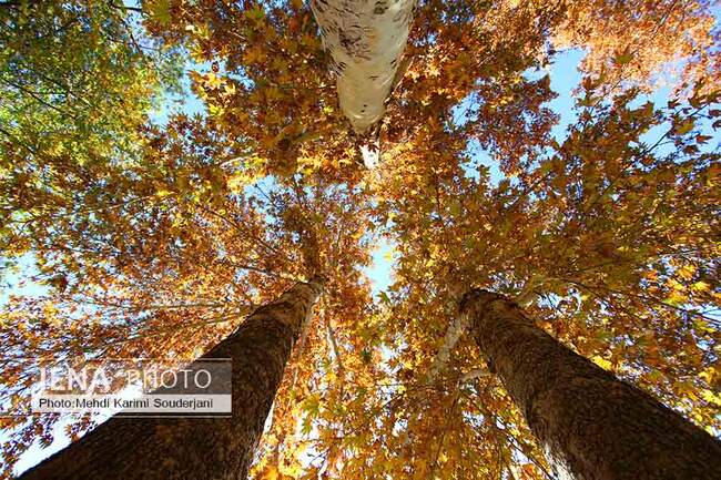 IMG_9084 copy