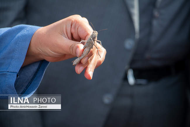 سفر یک روزه استاندار قزوین به طارم