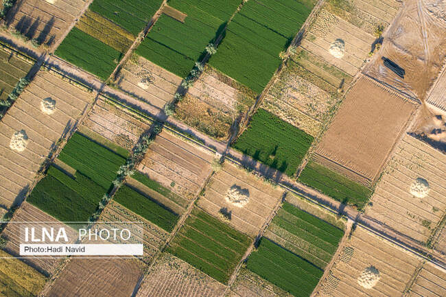 کویر مصر