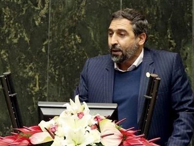 نمایندگان انقلابی مجلس آمادگی دارند شفاف‌سازی را به نحو احسن انجام دهند