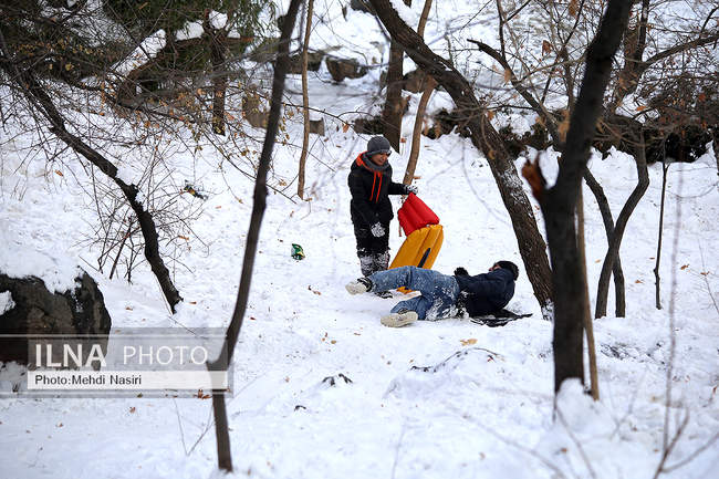 برف زمستانی پارک جمشیدیه