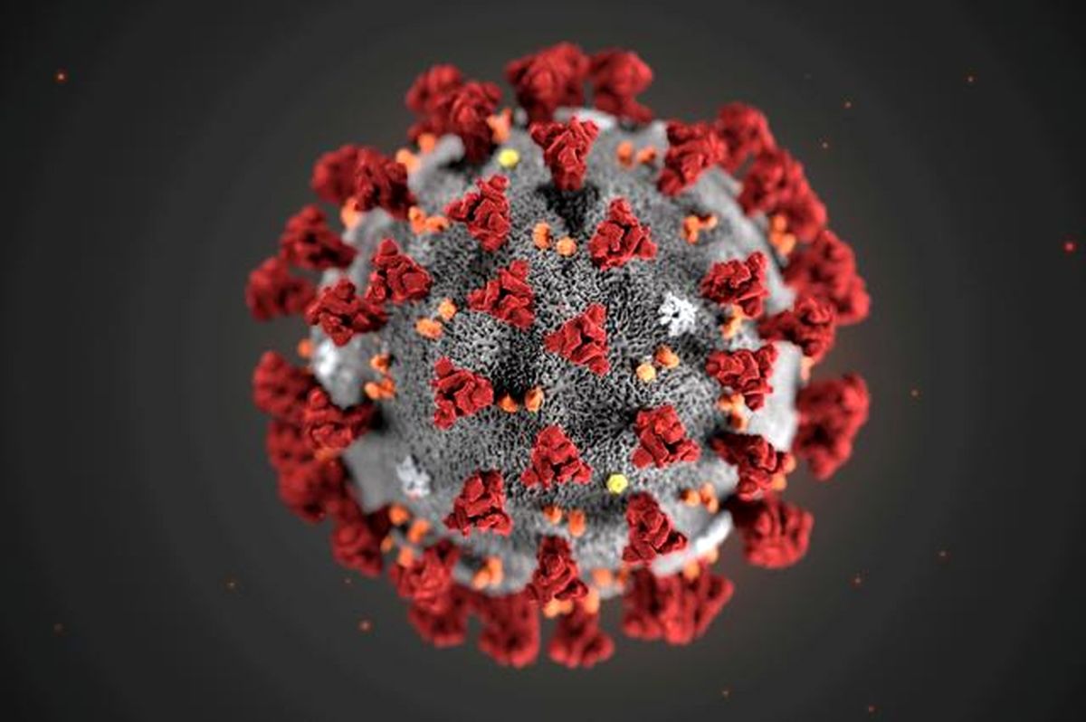 Coronavirus stopped exporting Iran's oil; official