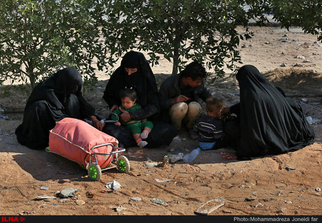 راهپیمایی زائران اربعین حسینی از نجف تا کربلا/2