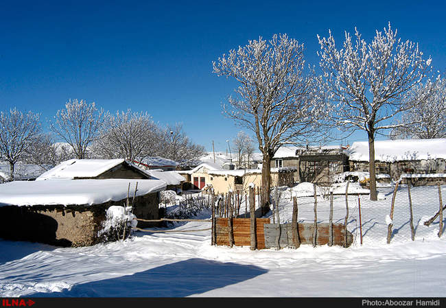 بارش برف در داماش گیلان