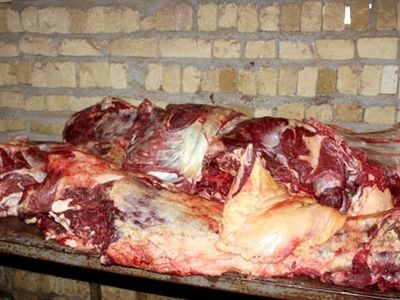 جمع‌آوری جایگاه‌های غیر مجاز عرضه و کشتار دام در شوش