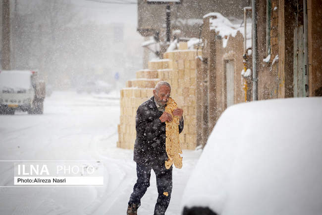 قزوین در آغوش برف