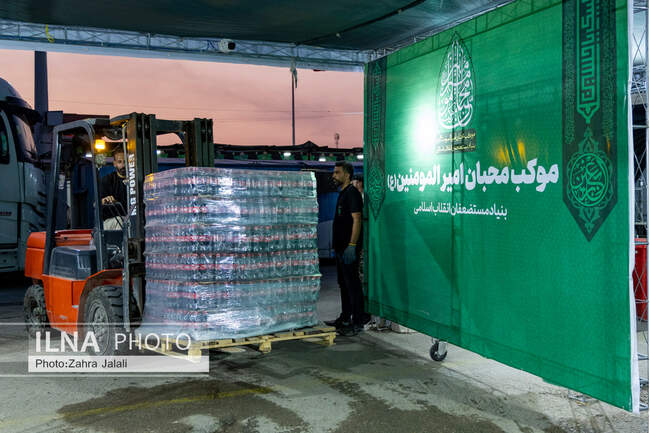 زائران اربعین