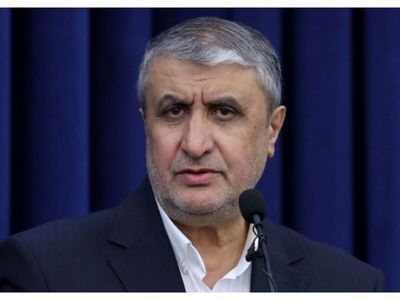 Iran’s progress in scientific field ‘enemies’ major concern’: AEOI chief