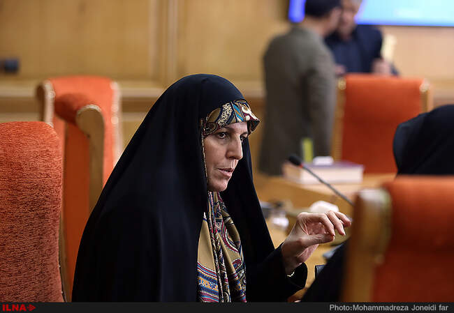 جلسه شورای اجتماعی کشور