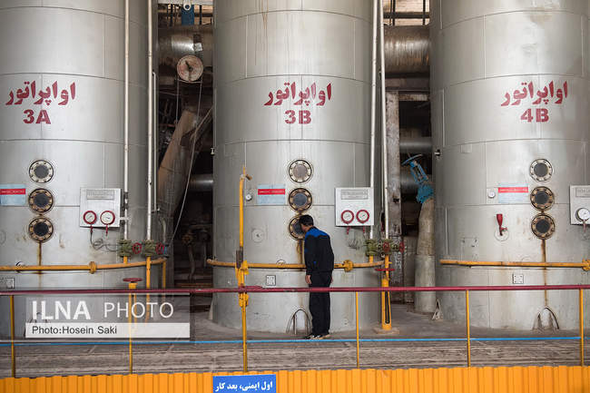 تولید شکر از چغندر قند 