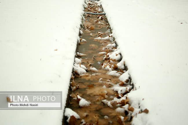 مجموعه فرهنگی-تاریخی نیاوران در یک روز برفی