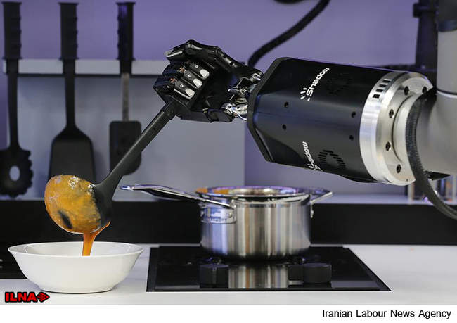 ظهور ربات های خانگی