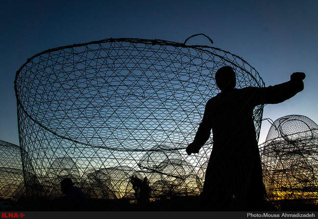 گرگور بافی در بوشهر