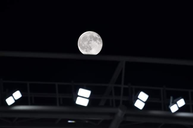 گزارش تصویری دیدار ازبکستان و ایران