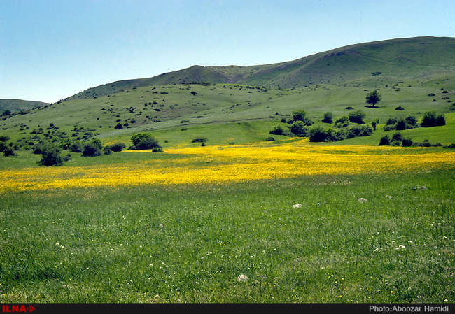 طبیعت بهاری دیلمان استان گیلان